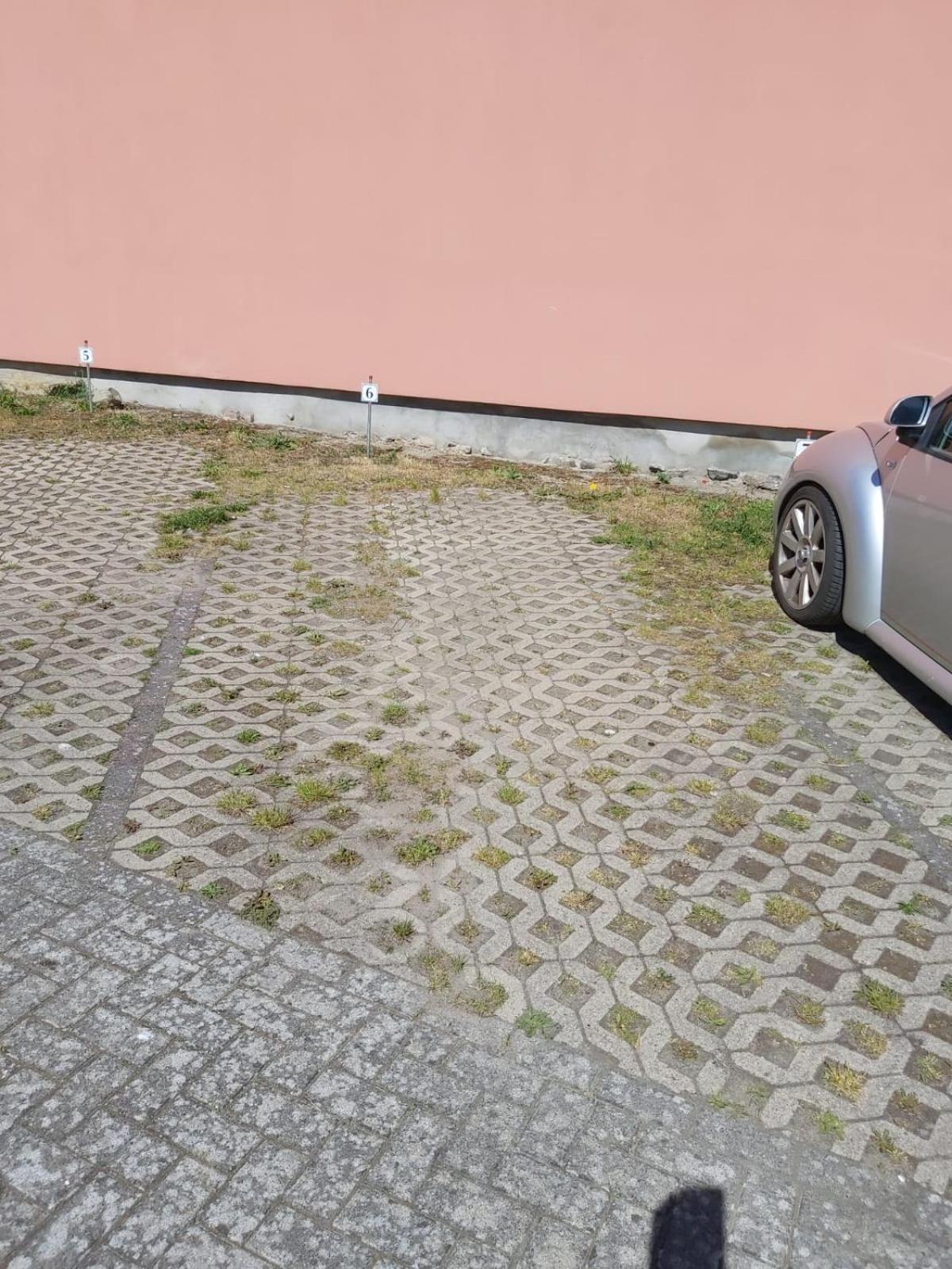 Wohnung Sonnenschein Wolgast Zewnętrze zdjęcie